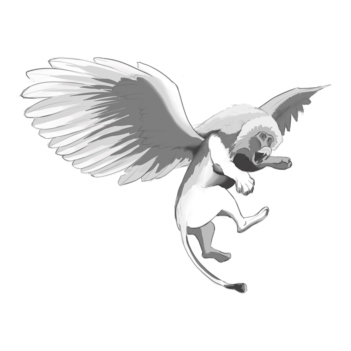 flion