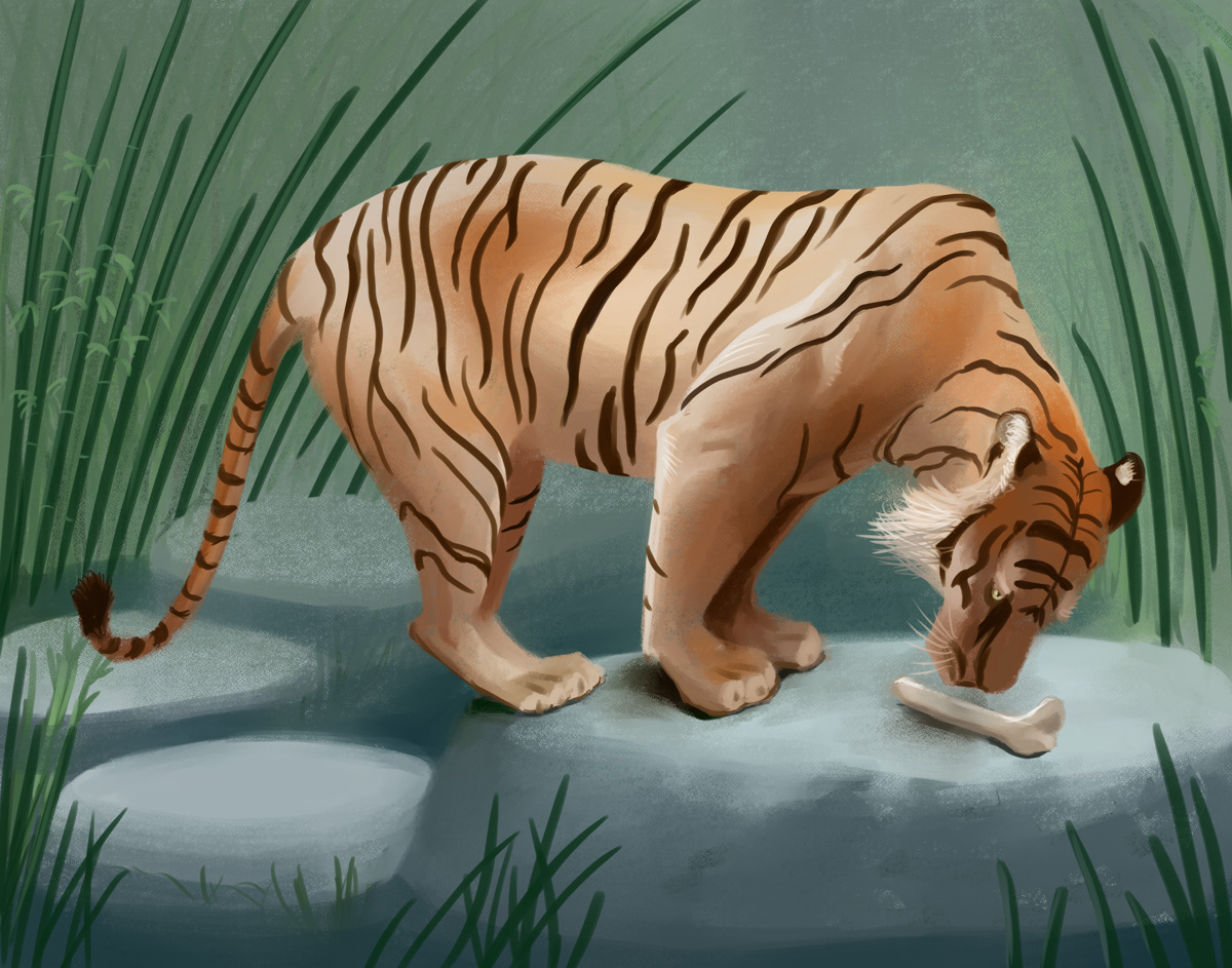 Illustration